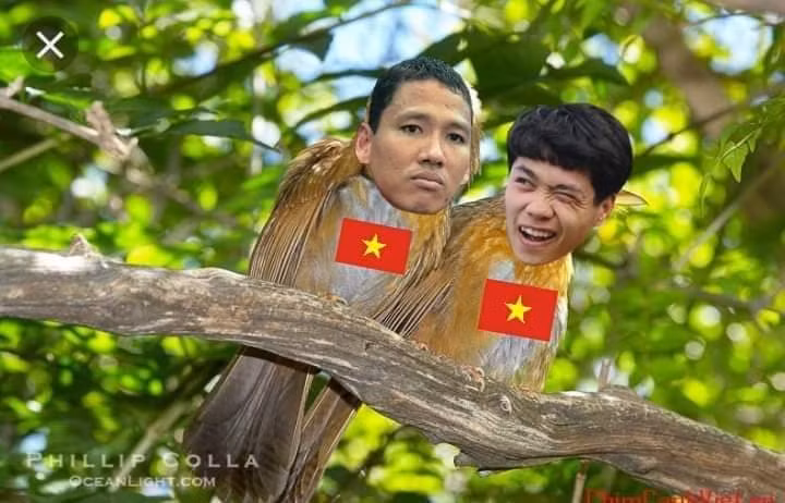 Ảnh: FB Chương Nguyễn.
