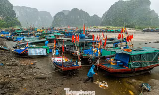 Bão số 1 áp sát Quảng Ninh, ngư dân dầm mưa chằng chống tàu thuyền tránh bão