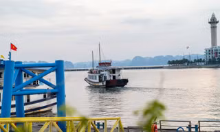 Chưa có lệnh cấm biển, tàu du lịch vịnh Hạ Long đã ‘rủ nhau’ đi tránh bão