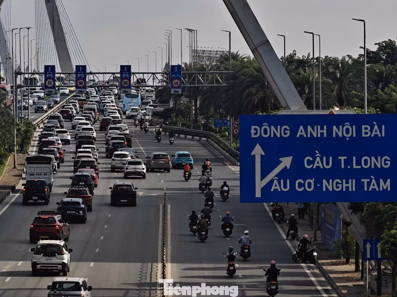tp-c_cau-nhat-tan2aobor1hfgjpaeqdmnulywtvpkj7zn4bmgomdyta13.jpg
