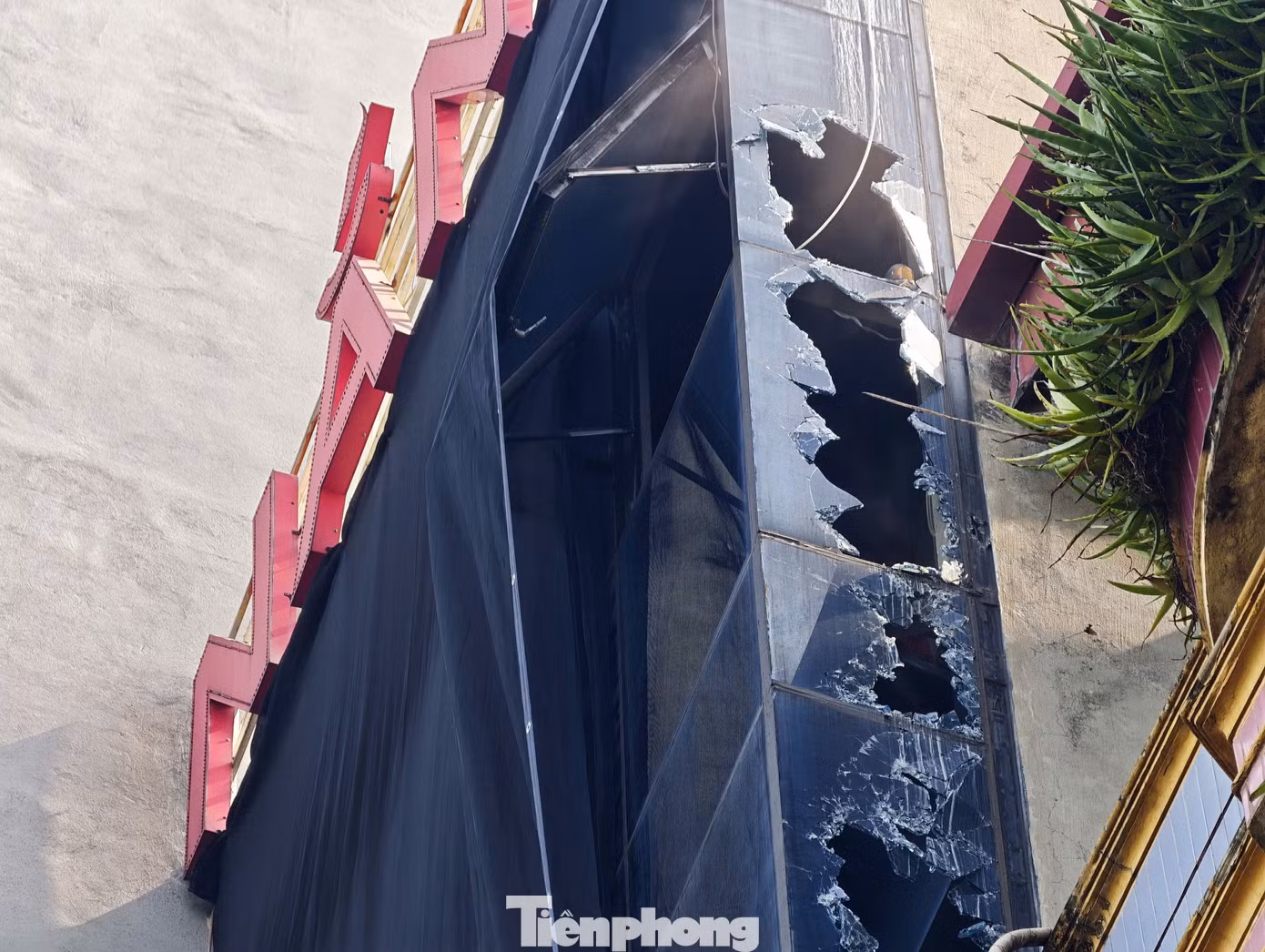 tp-c_chay.jpg