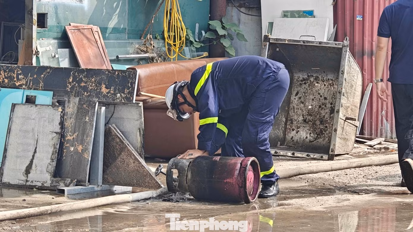 tp-c_2740.jpg