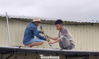 Người dân Quảng Ngãi dùng mọi giải pháp gia cố nhà cửa ứng phó bão số 13