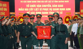 Quảng Ngãi đặt mục tiêu quy tập 280 hài cốt liệt sĩ, khẩn trương tìm kiếm tại 5 vị trí mộ tập thể