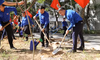Trung ương Đoàn ra quân Ngày chủ nhật xanh toàn quốc năm 2026
