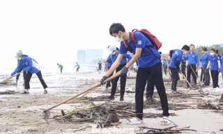 Bạn trẻ Đà Nẵng sáng tạo để 'xanh hóa' biển quê hương