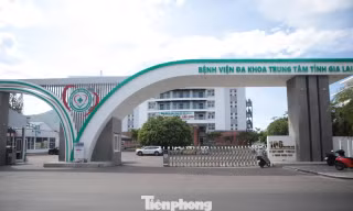 Công ty Việt Mỹ trúng những gói thầu nào tại Gia Lai?