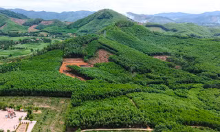 Khoanh vùng 3 vị trí nghi có hố chôn liệt sĩ