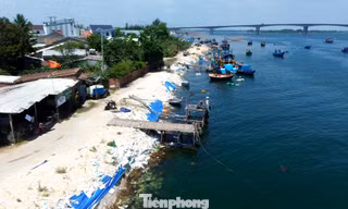 Hiện trạng bờ kè An Lương ven sông Thu Bồn trước ngày thi công dự án chống sạt lở 