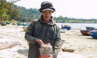 Săn tôm hùm giống ngày cận Tết, ngư dân Đà Nẵng thu tiền triệu mỗi ngày