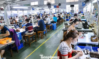 Doanh nghiệp Đà Nẵng tuyển hàng nghìn lao động cận Tết Nguyên đán 