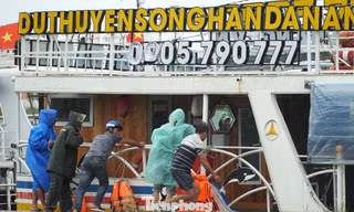 Đà Nẵng: 20 du thuyền rút khỏi sông Hàn, cùng neo buộc phòng chống gió bão