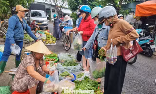 'Mấy hôm nay mua rau đắt hơn cá thịt' 