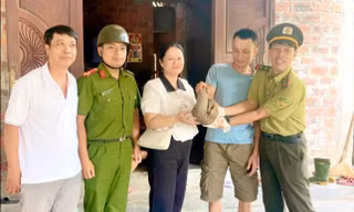 Phát hiện động vật quý hiếm 'lạc' vào vườn cao su ở Huế