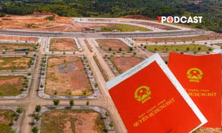Điều kiện bồi thường khi chưa hoàn tất thủ tục chuyển nhượng đất