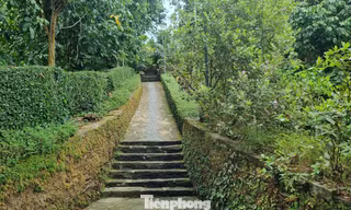 Tới ngôi làng cổ, tường đá rêu phong trong top đẹp nhất Việt Nam