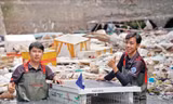 Vỏ quả dứa bỏ đi được anh Lê Duy Hoàng tái chế thành chất tẩy rửa sinh học, xuất khẩu ra thế giới ảnh: U.P