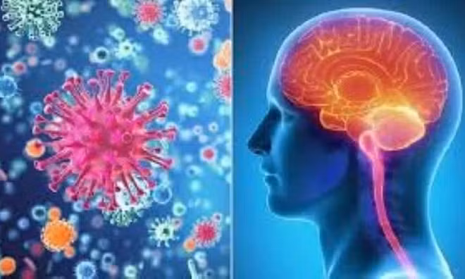 Cà Mau ghi nhận thêm 2 ca viêm não mô cầu, một người tử vong