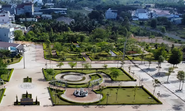 Hơn 264 tỷ đồng 'chảy' về túi Chủ tịch Cây xanh Công Minh thế nào?
