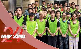 NHỊP SỐNG 24: Quá trình bắt giữ 48 đối tượng liên quan ma túy, có ca sĩ Tăng Nhật Tuệ