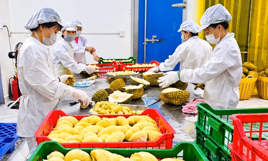 Doanh nghiệp giải thể tại Đắk Lắk tăng tới 700% 