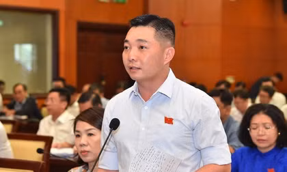Ông Lê Trương Hải Hiếu làm Phó trưởng Ban Tổ chức Thành ủy TPHCM