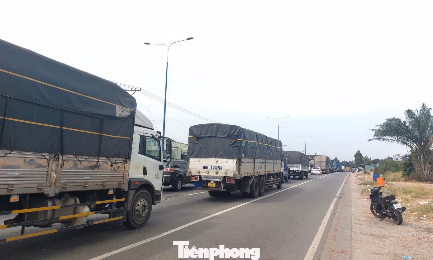 tp-mptv-9.jpg