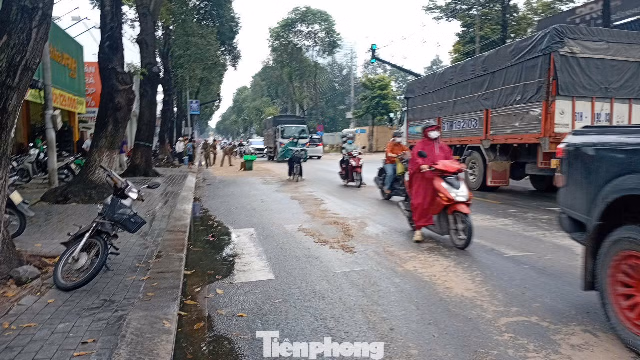 tp-te-nga-2.jpg