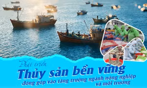 Phát triển thủy sản bền vững đóng góp vào tăng trưởng ngành nông nghiệp và môi trường