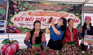 Thanh niên livestream đưa đặc sản Tây Bắc về xuôi