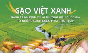 Gạo Việt xanh, phát thải thấp: Định vị thương hiệu quốc gia trên bản đồ nông nghiệp toàn cầu 