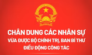 Chân dung các nhân sự vừa được Bộ Chính trị, Ban Bí thư điều động công tác