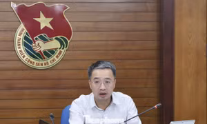 Tìm kiếm 10 tài năng trẻ nhận Giải thưởng Quả Cầu Vàng 2026