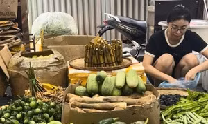 Cử nhân Luật bỏ việc về bán rau, có ngày ship 200 kg