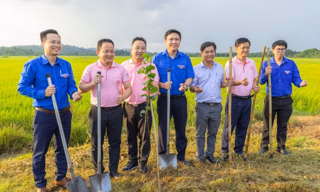 C.P. Việt Nam cùng người dân Tà Lài phát triển sinh kế bền vững