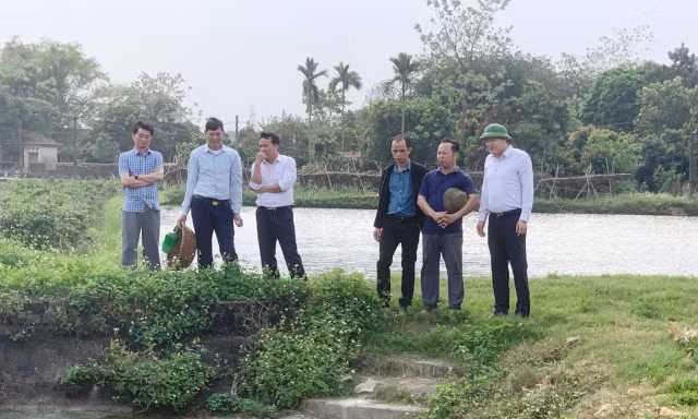 Nông dân Bắc Ninh đổi cách nuôi cá, giảm công sức nhờ công nghệ 4.0