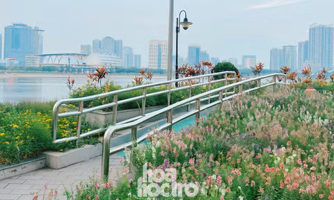 Ngoài hoa violet Nhật gây sốt, công viên An Hòa còn có view ngắm hoàng hôn xịn