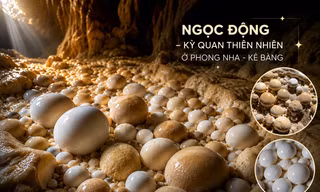 TP NOW: Hàng trăm ‘quả trứng’ bí ẩn nằm sâu trong hang động Phong Nha là gì?