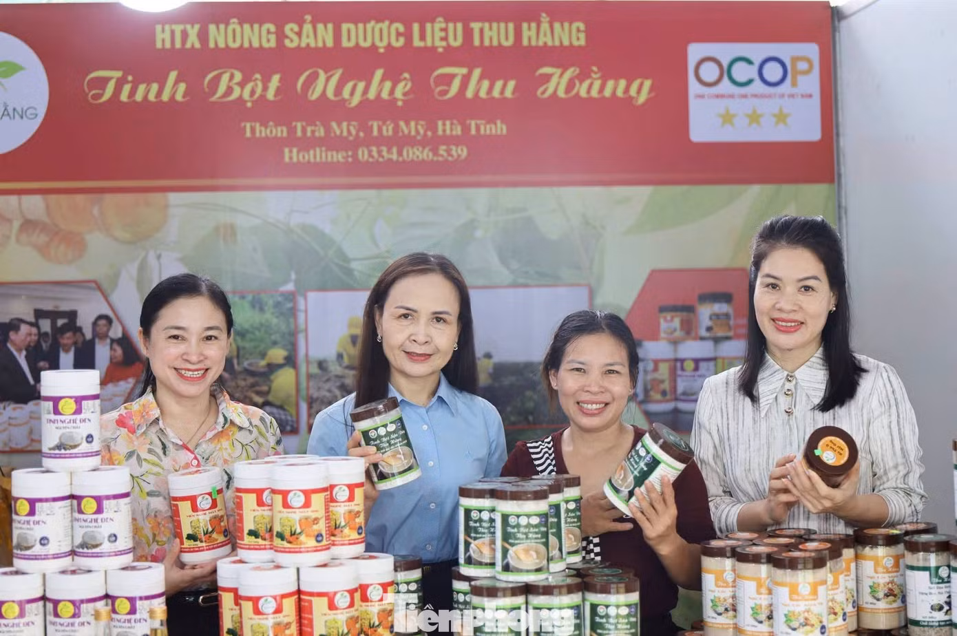 tp-anh-jgssjspng.jpg