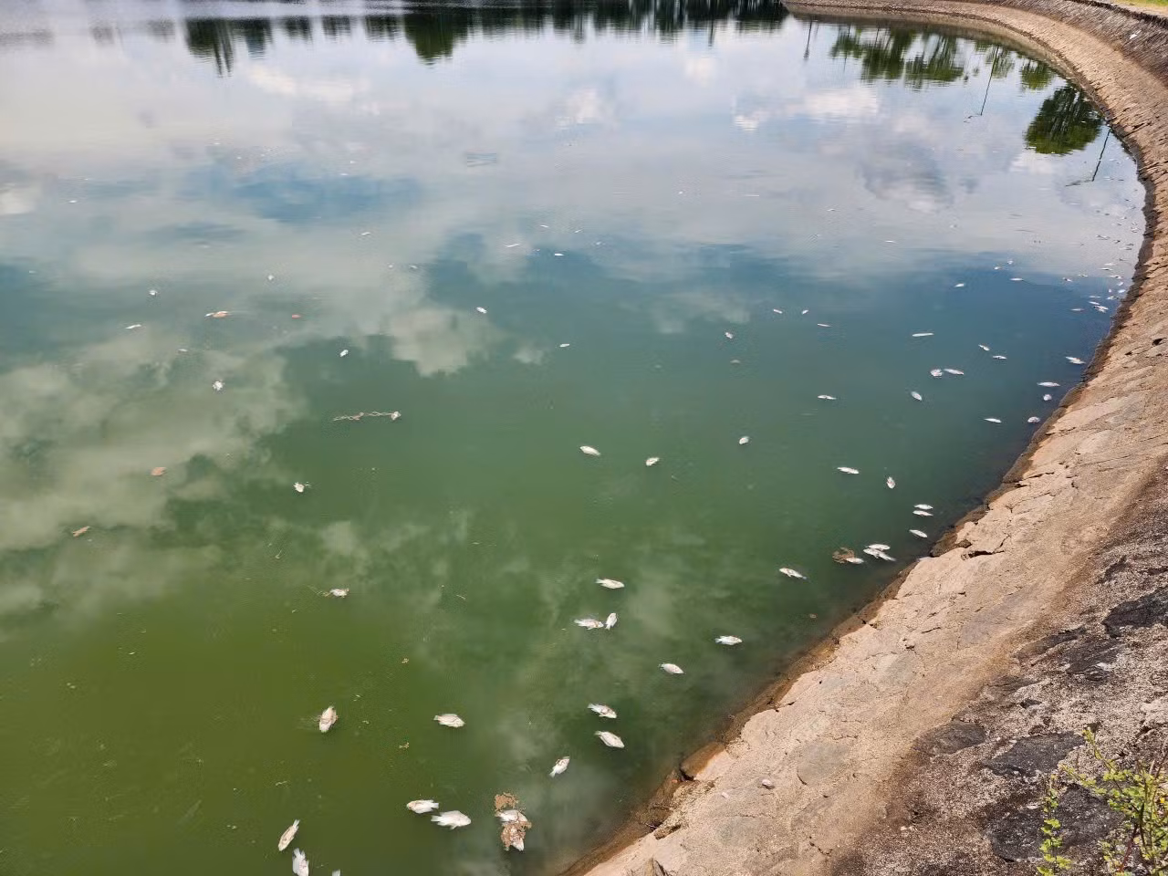 bc293678896901375878.jpg