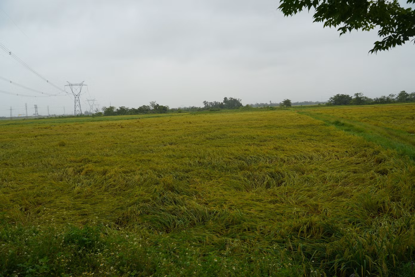 dsc09400.jpg