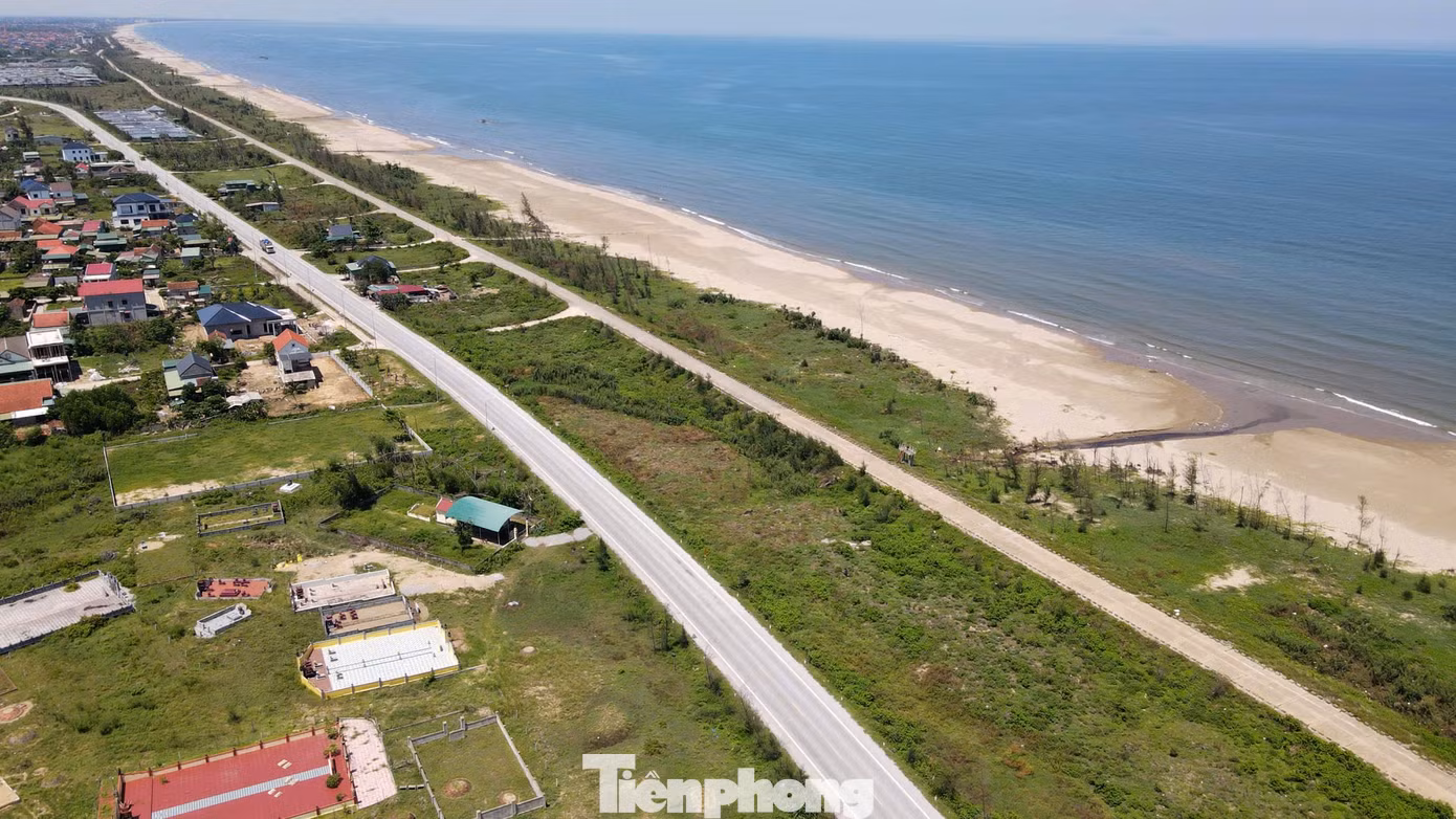 tp-cay-xanh-55.jpg