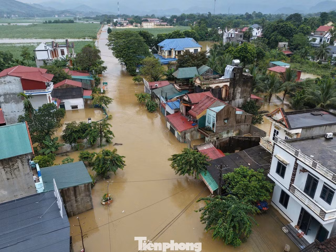 tp-thanh-hao-skssj.jpg
