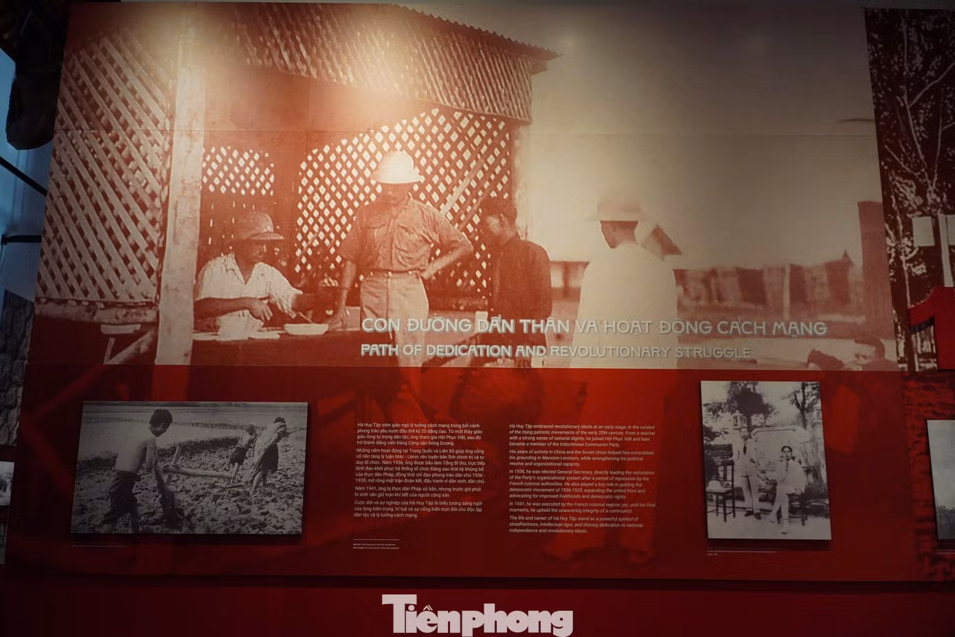 tp-ha-huy-tap-8.jpg