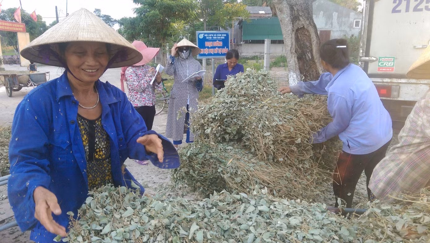nu-cuoi-luon-no-tren-moi-nguoi-dan-sau-moi-lan-thu-hoach1.jpg