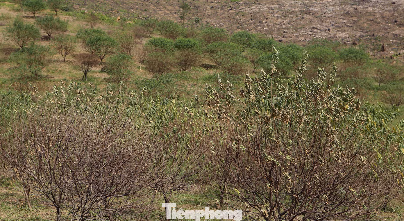 tp-20822.jpg
