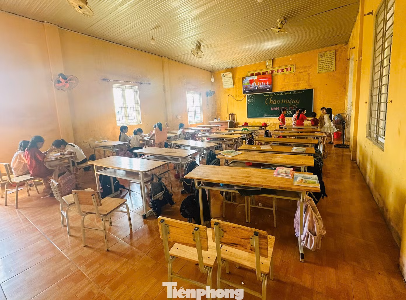 tp-383y3.jpg