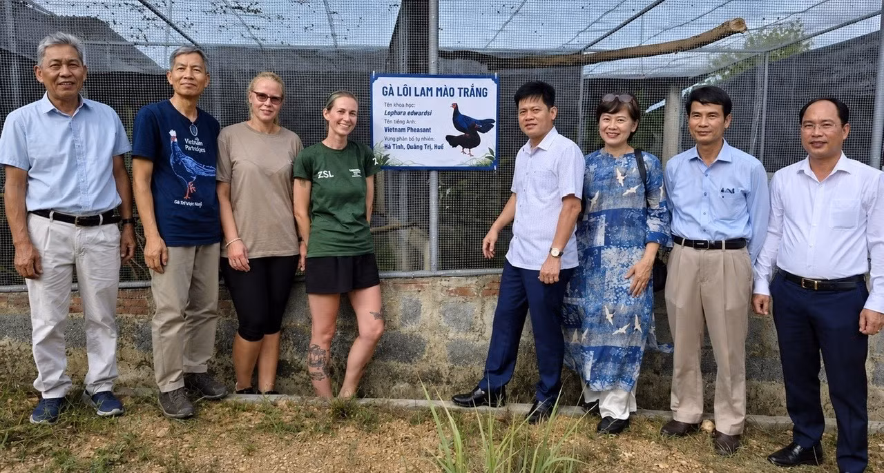 c68129ae693ce862b12d.jpg