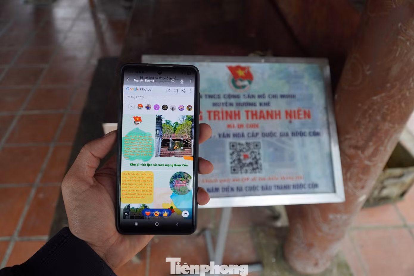 tp-cay-208330.jpg