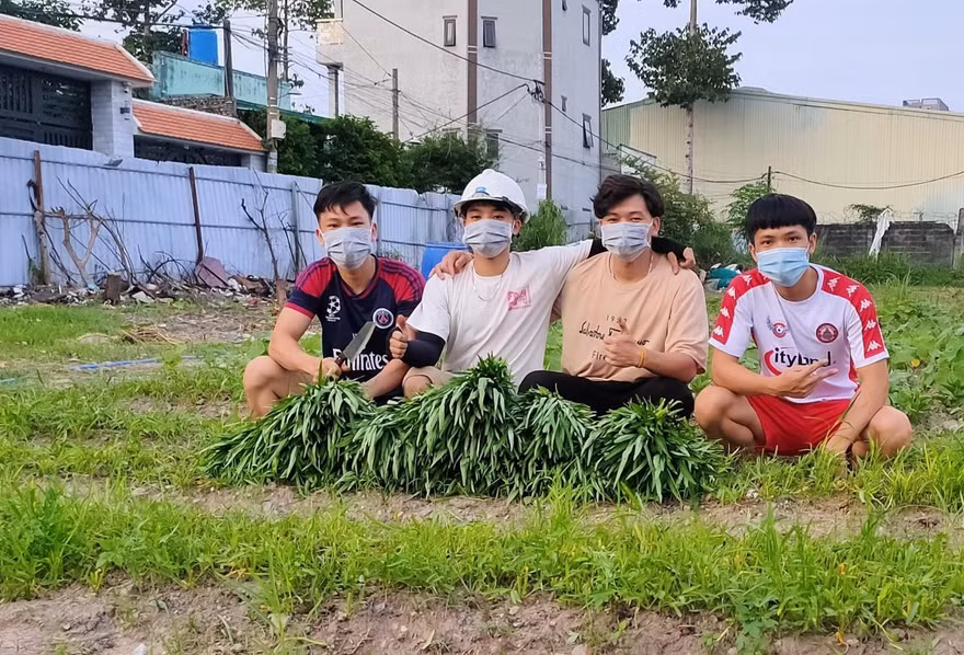 “Vườn rau nghĩa tình mùa dịch” của bốn chàng sinh viên Bách khoa